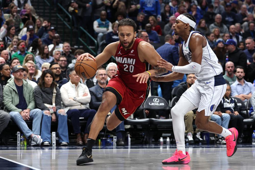 森林狼占据 森林狼占据